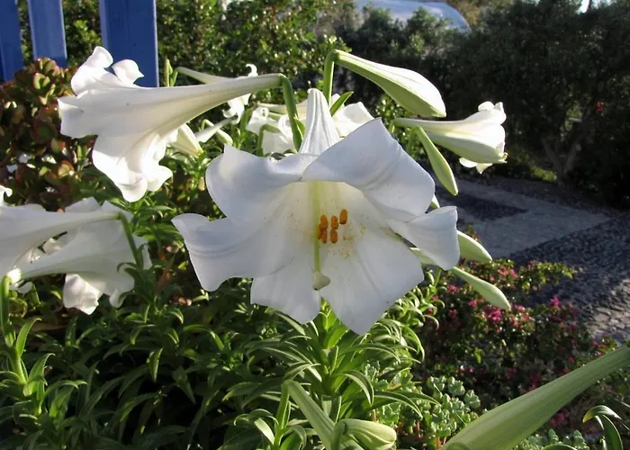 Perissa 2* Agios Georgios (Santorini)