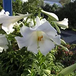 Perissa 2* Agios Georgios (Santorini)