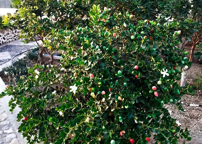 Perissa Ξενοδοχείο